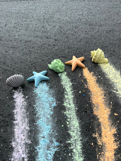 Handmade sidewalk chalk tide pool, shells, starfish, colors, art